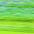Bluebonnet Blur Photograph by Raul Rodriguez Bluebonnet Blur Photograph by Raul Rodriguez