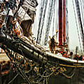 Bluenose Photograph by Tatiana Travelways Bluenose Photograph by Tatiana Travelways