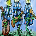 Blues Bonnets by Kevin Middleton Blues Bonnets by Kevin Middleton