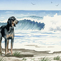 Bluetick Coonhound at the Beach Painting by David Rogers Bluetick Coonhound at the Beach Painting by David Rogers