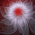Blush by Amanda Moore Blush by Amanda Moore
