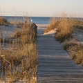 Boardwalk to the Beach by Nadine Rippelmeyer Boardwalk to the Beach by Nadine Rippelmeyer