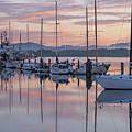 Boats in Pastel by Suzy Piatt