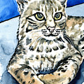 Bobcat Portrait by Dora Hathazi Mendes Bobcat Portrait by Dora Hathazi Mendes