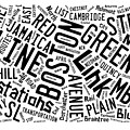 Boston Subway or T Stops Word Cloud Digital Art by Edward Fielding