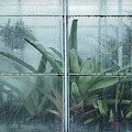 Both Sides by Lynn Wohlers