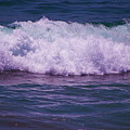 Bougainvillea Beaches Pacific Ocean by Colleen Cornelius Bougainvillea Beaches Pacific Ocean by Colleen Cornelius