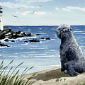 Bouvier Des Flandres at the Beach Painting by David Rogers Bouvier Des Flandres at the Beach Painting by David Rogers