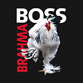 Brahma Boss II t-shirt print by Sigrid Van Dort Brahma Boss II t-shirt print by Sigrid Van Dort