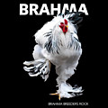 Brahma breeders Rock t-shirt print by Sigrid Van Dort Brahma breeders Rock t-shirt print by Sigrid Van Dort