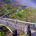 Bridge at Multnomah Falls by Lisa Rose Musselwhite Bridge at Multnomah Falls by Lisa Rose Musselwhite