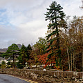 Bridge over Dochart at Killin Photograph by Elena Perelman Bridge over Dochart at Killin Photograph by Elena Perelman