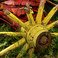 Broken Down Photograph by Mike Eingle Broken Down Photograph by Mike Eingle
