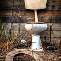 Broken Toilet by Carlos Caetano Broken Toilet by Carlos Caetano