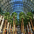 Brookfield Place Atrium - N Y C # 2 by Allen Beatty Brookfield Place Atrium - N Y C # 2 by Allen Beatty
