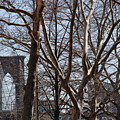 Brooklyn Bridge Thru The Trees by Rob Hans Brooklyn Bridge Thru The Trees by Rob Hans