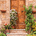 Brown Door of Tuscany Painting by David Letts Brown Door of Tuscany Painting by David Letts