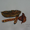 Brown of Leafs and Seeds Painting by Sukalya Chearanantana Brown of Leafs and Seeds Painting by Sukalya Chearanantana