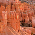 Bryce Canyon by Angela Moyer