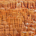 Bryce Canyon Hoodoos Photograph by Alberto Zanoni Bryce Canyon Hoodoos Photograph by Alberto Zanoni