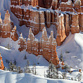 Bryce Canyon National Park Photograph by Brett Pelletier Bryce Canyon National Park Photograph by Brett Pelletier