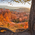 Bryce Canyon National Park Sunrise 2 - Utah Photograph by Brian Harig Bryce Canyon National Park Sunrise 2 - Utah Photograph by Brian Harig