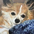 Bubba Painting by Jackie MacNair Bubba Painting by Jackie MacNair