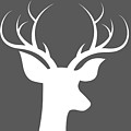 Buck Deer by Chastity Hoff Buck Deer by Chastity Hoff