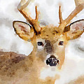 Buck Profile Painting by Steven Santamour Buck Profile Painting by Steven Santamour