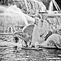 Buckingham Fountain Chicago by Paul Velgos Buckingham Fountain Chicago by Paul Velgos