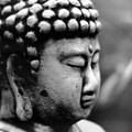 Buddha Photograph by Eileen Gayle Buddha Photograph by Eileen Gayle