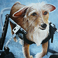 Buddy's Hope Painting by Vic Ritchey Buddy's Hope Painting by Vic Ritchey