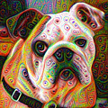 Bulldog surreal deep dream image Digital Art by Matthias Hauser Bulldog surreal deep dream image Digital Art by Matthias Hauser