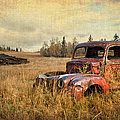 Bullet Riddled Photograph by Theresa Tahara Bullet Riddled Photograph by Theresa Tahara
