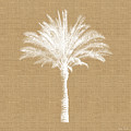 Burlap Palm Tree- Art by Linda Woods Mixed Media by Linda Woods Burlap Palm Tree- Art by Linda Woods Mixed Media by Linda Woods