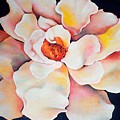 Butter Flower Painting by Jordana Sands Butter Flower Painting by Jordana Sands