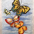 Мир бабочек рисунок. Бабочка цветными карандашами. Рисование бабочек цветными карандашами. Бабочки с светному карандашом. Бабочки карандашом разноцветная.