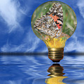 Butterfly In Lightbulb - Landscape Photograph by Shane Bechler Butterfly In Lightbulb - Landscape Photograph by Shane Bechler