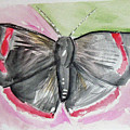 Butterfly by Loretta Nash Butterfly by Loretta Nash