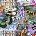 Butterfly Wings Collage Digital Art by Linda Carruth Butterfly Wings Collage Digital Art by Linda Carruth