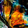 Butterfly Wings by Robert McKay Jones