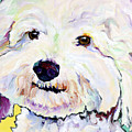 Buttons Painting by Pat Saunders-White Buttons Painting by Pat Saunders-White