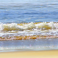 By the Coral Sea by Holly Kempe By the Coral Sea by Holly Kempe