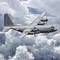 C130 36th Airlift Digital Art by Airpower Art C130 36th Airlift Digital Art by Airpower Art