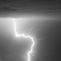 C2G Lightning Strike in Black and White Photograph by James BO Insogna C2G Lightning Strike in Black and White Photograph by James BO Insogna