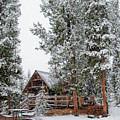 Cabin in the Woods by Frank Madia Cabin in the Woods by Frank Madia