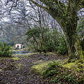 Cabin in the Woods Photograph by WAZgriffin Digital Cabin in the Woods Photograph by WAZgriffin Digital