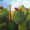 Cactus Pears by Chris Neil Smith Cactus Pears by Chris Neil Smith