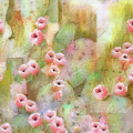 Cactus Rose Mixed Media by Sand And Chi Cactus Rose Mixed Media by Sand And Chi