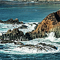California Coast Photograph by George Buxbaum California Coast Photograph by George Buxbaum